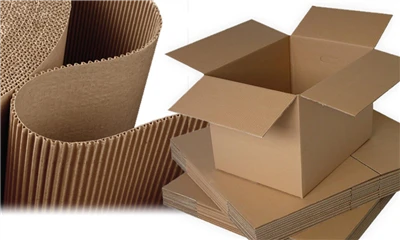 Introduction to 7 Types of Paper for the Packaging Industry