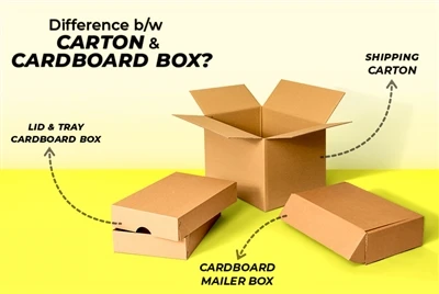What is the Difference Between Cardboard and Carton?