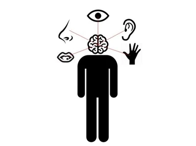 What Is Visual Merchandising?